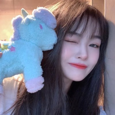 笨鸟满天飞